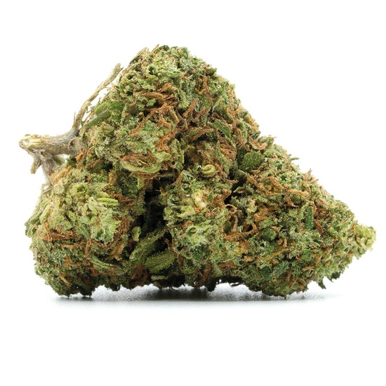 Critical MF