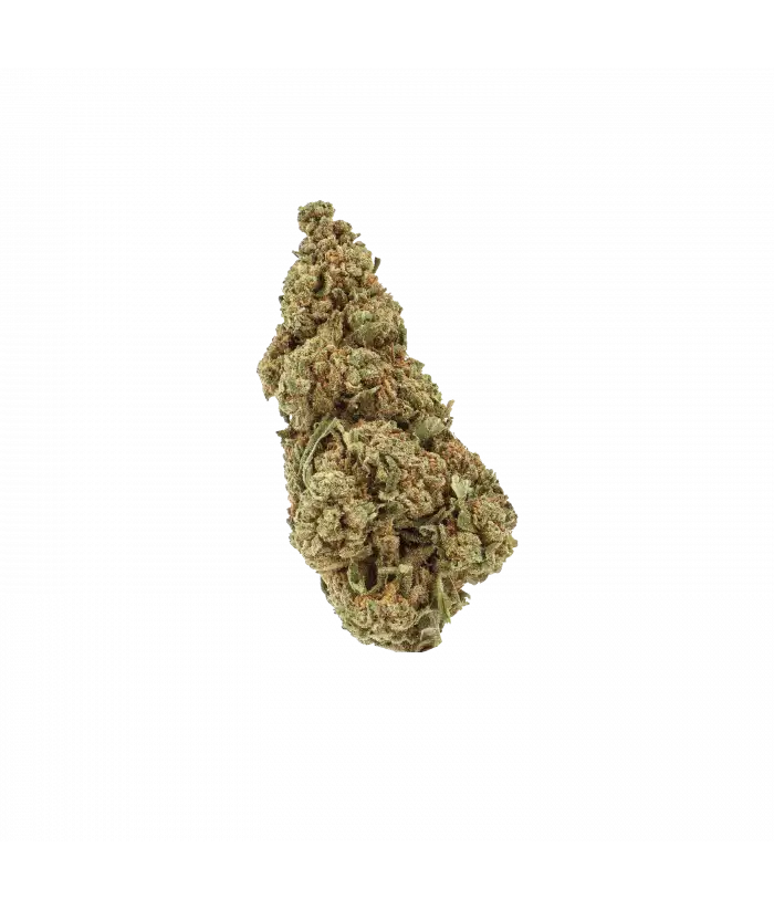 Big Budha Cheese