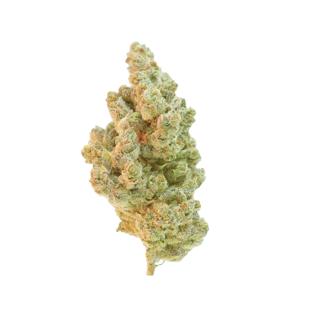 Amnesia Haze indoor