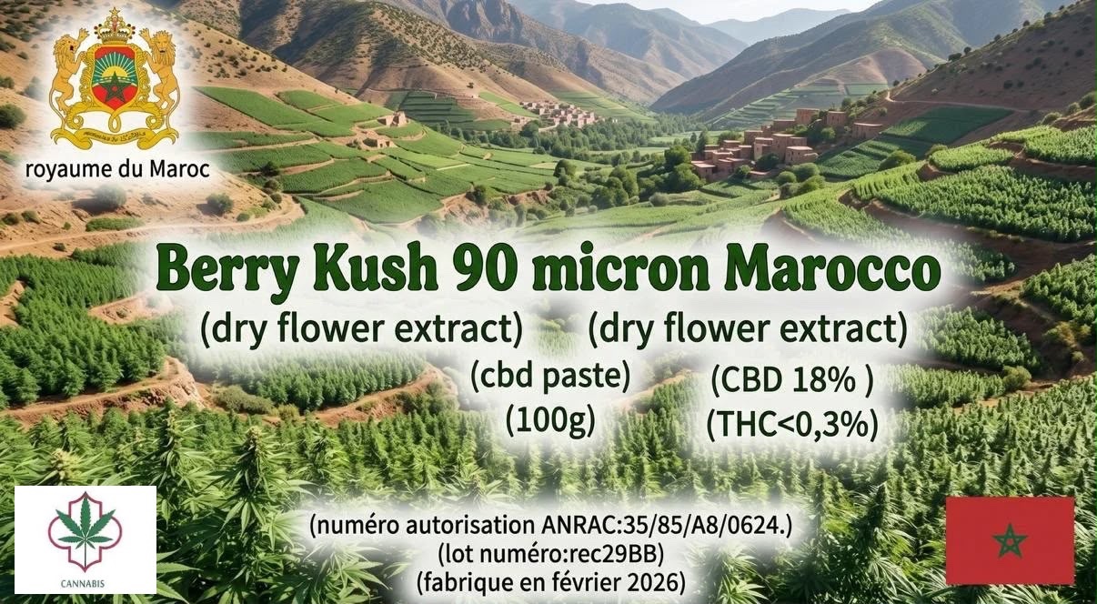 Berry Kush 90 micron (maroc) cbd
