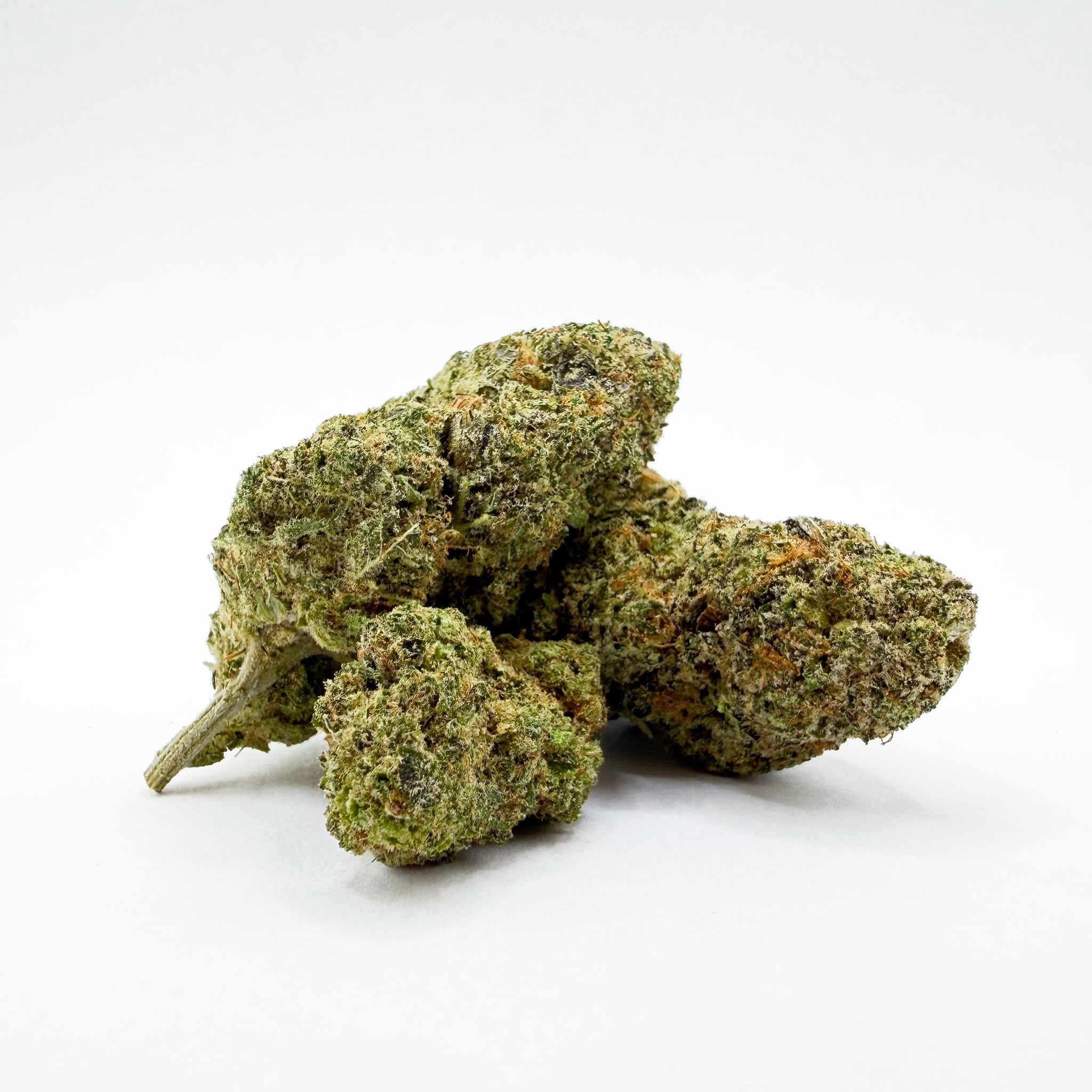 Tropical Haze mf 40%